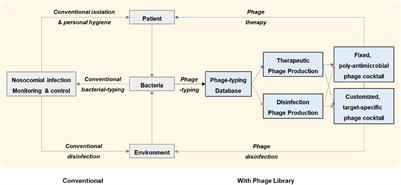 Potential of Therapeutic Bacteriophages in Nosocomial Infection Management